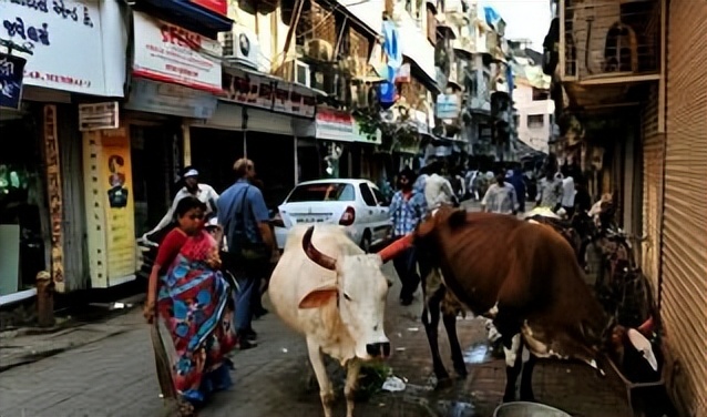 印度人看上海与孟买对比视频,印度人看上海vs孟买