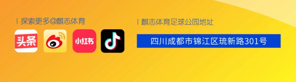 本是同根生结局解析,本是同根生愿结连理枝