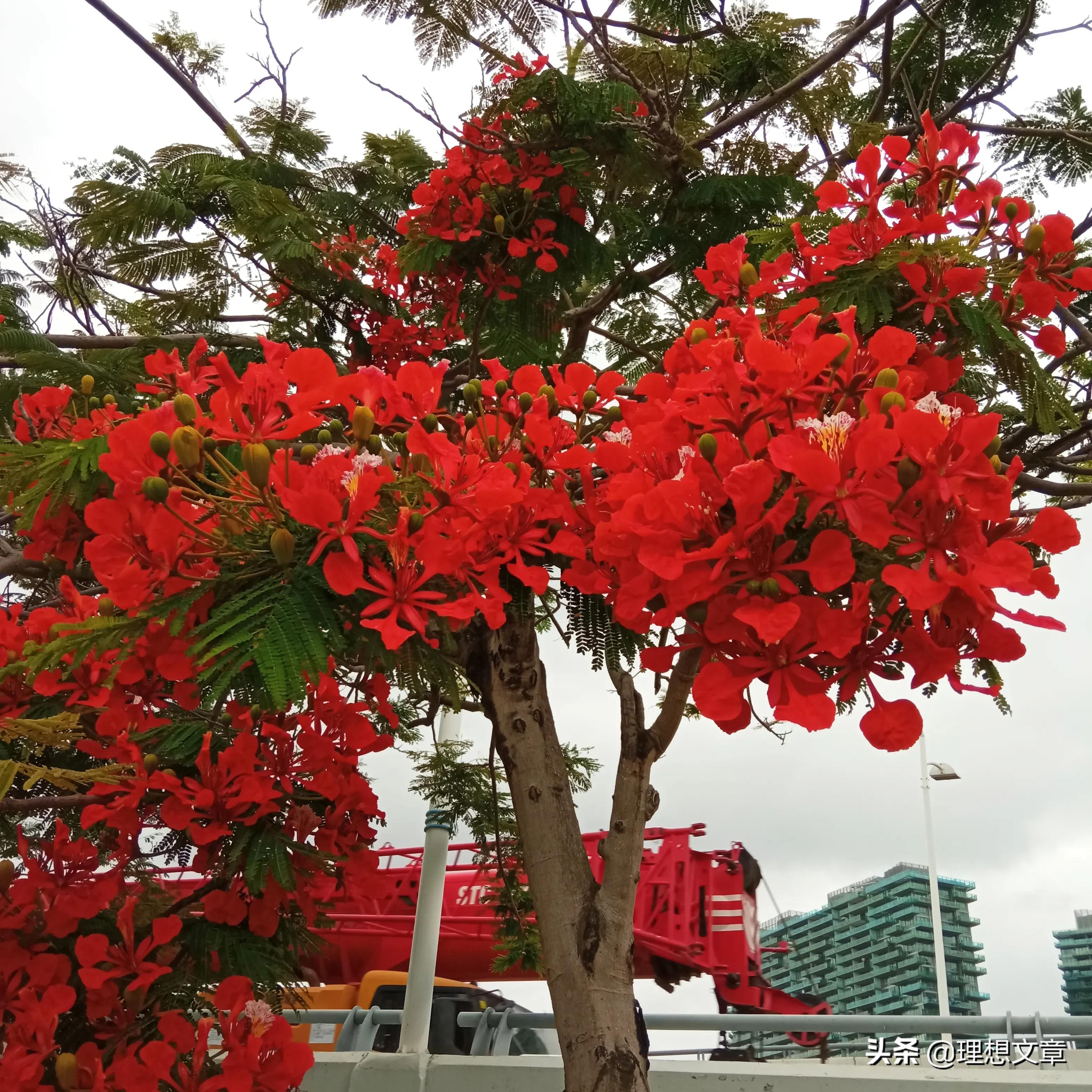 投资小利润高的创业项目有哪些,自主创业小项目投资少见效快