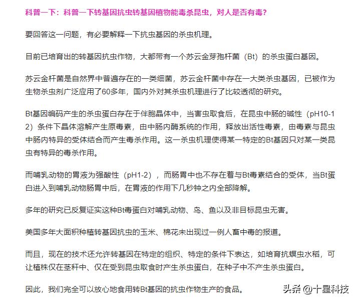 玉米抗虫品种审定,2022年抗虫的玉米种