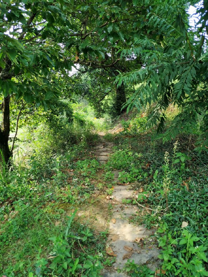 郴乐古道之水头江宜乐古道--广东省乐昌市庆云镇