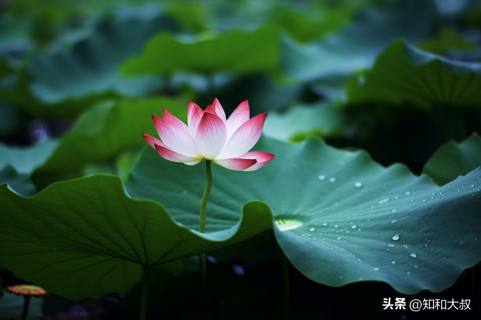 好父母的7条标准，中3条以上的，孩子长大必有出息