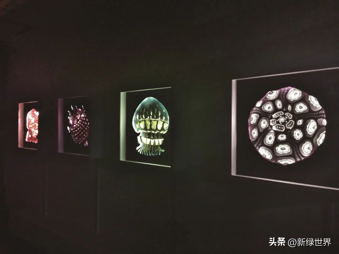 纸艺作品绘画,千变万化的纸艺术作品