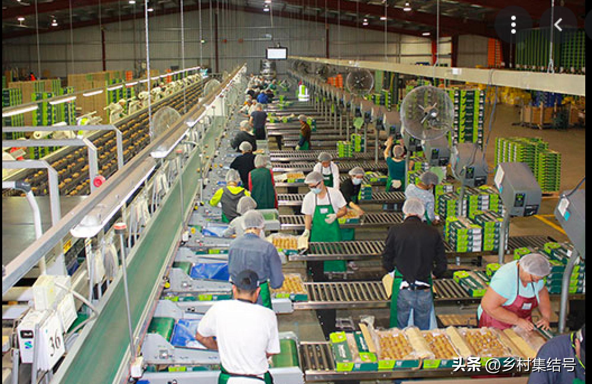 奇异果之都蒂普基地形图,新西兰奇异果小镇蒂普基