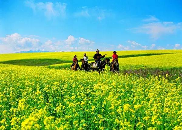 这条惊艳奇绝的公路,行走在天山脊梁上的最美景观公路