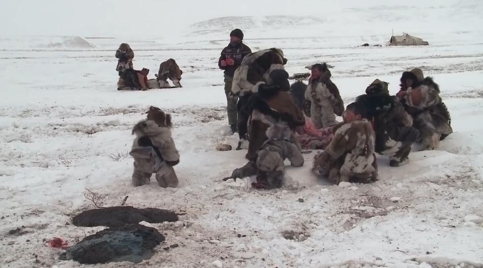 俄罗斯牧民有多少钱,俄罗斯鄂温克人饲养驯鹿