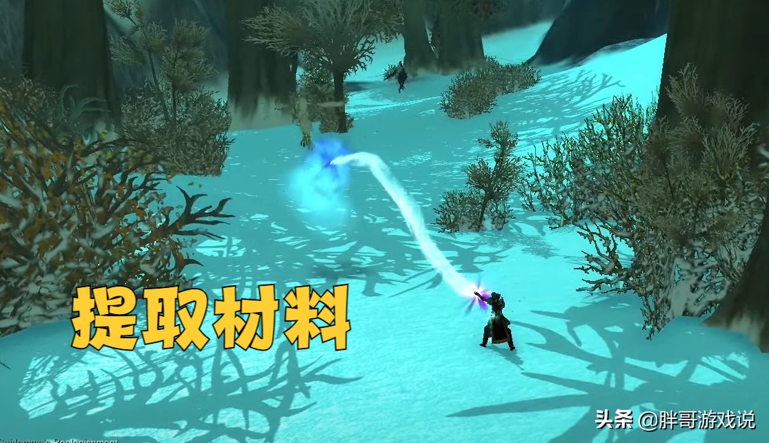 魔兽wlk2022,魔兽世界wlk小德大鸟任务