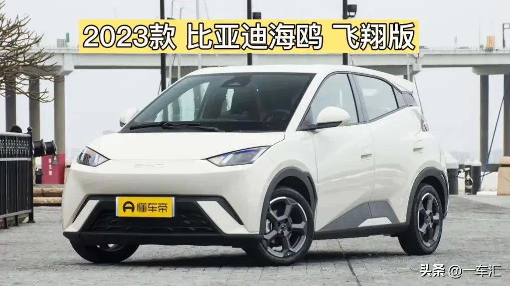 比亚迪海鸥最小的电动车,比亚迪海鸥纯电动车好吗
