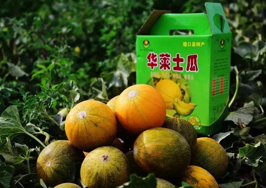 天下第一瓜字体,天下第一福由来