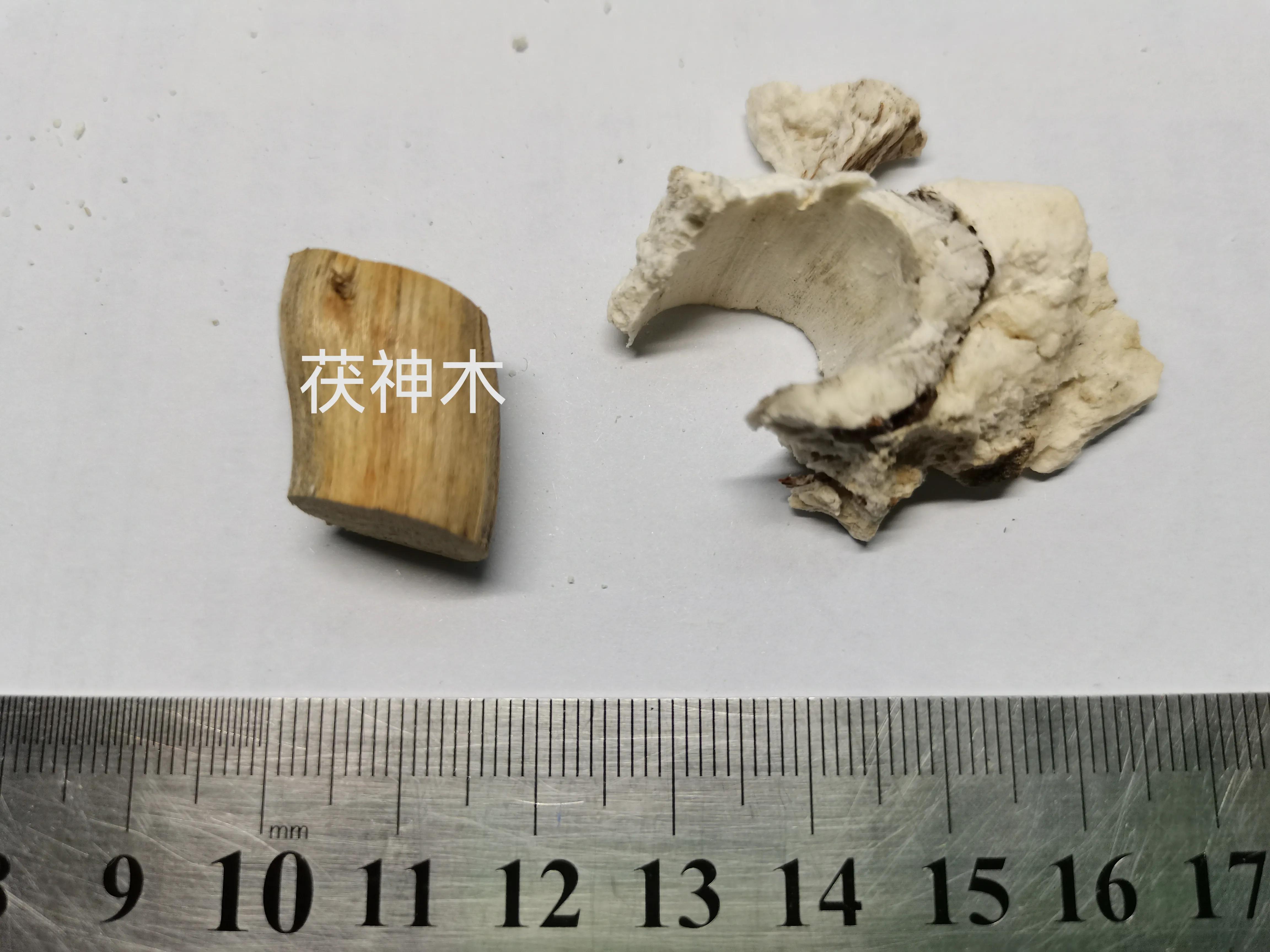 中药里的“全身是宝”系列之(六)——茯苓