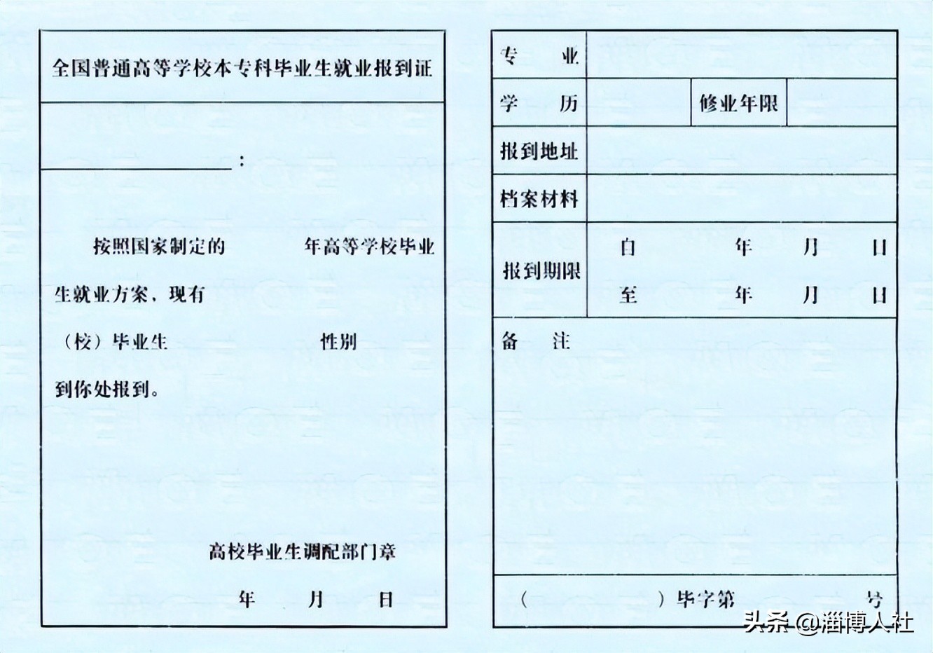 报到证派遣去向怎么填,报到证如何在网上申请
