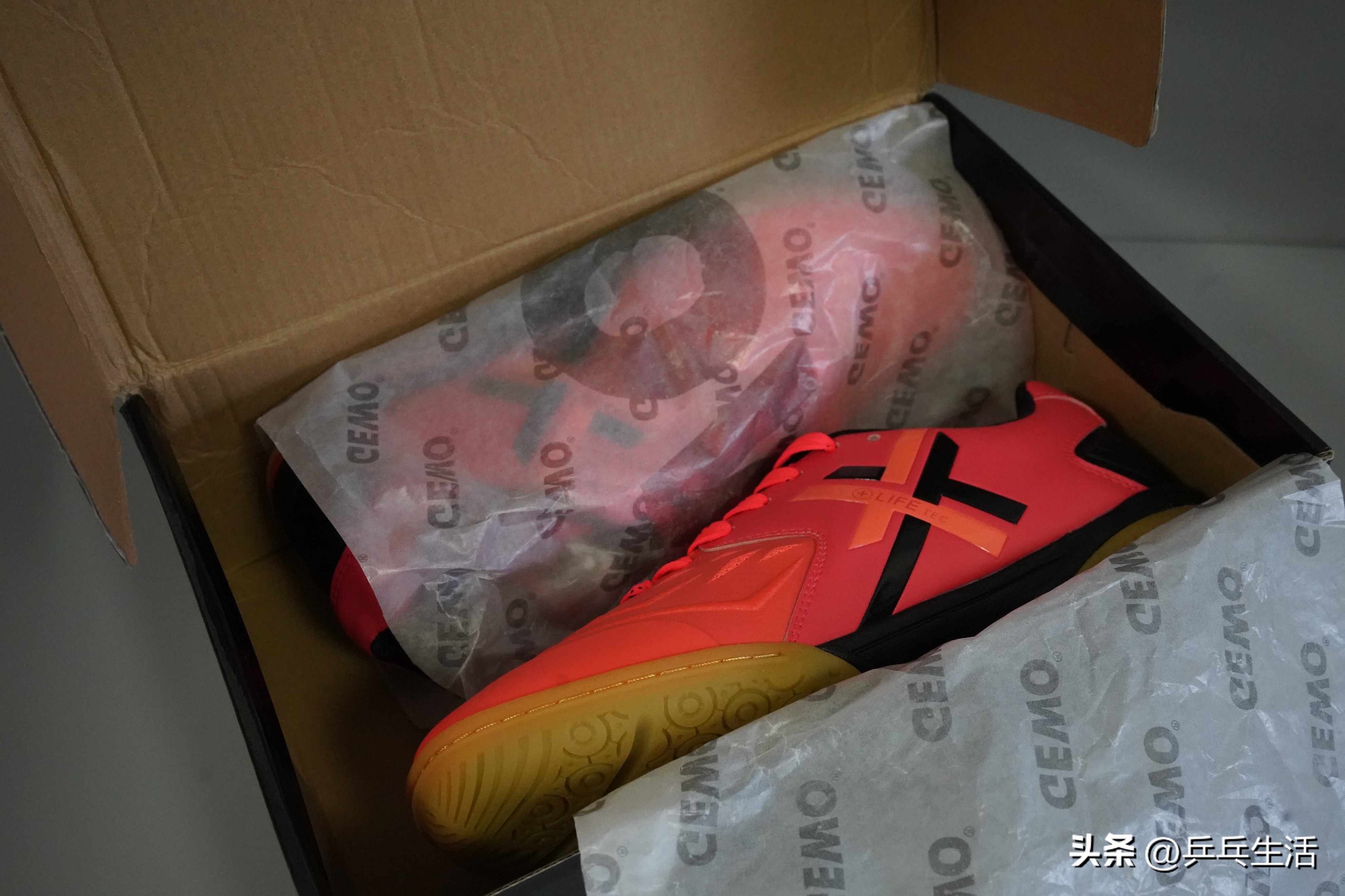 乒乓球世界冠军从几岁开始打球,坚持打乒乓球十年终获世界冠军