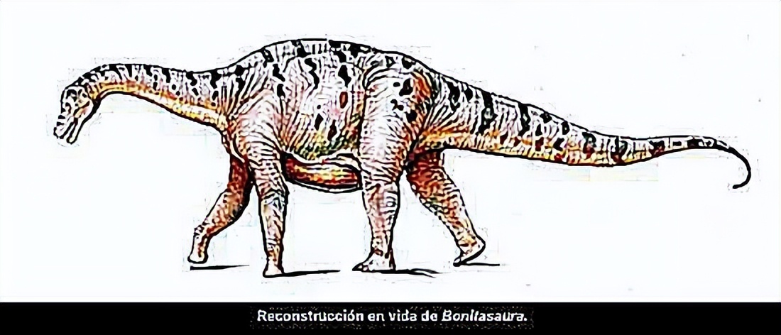 恐龙时代泰坦巨龙与雷龙,泰坦巨龙恐龙化石