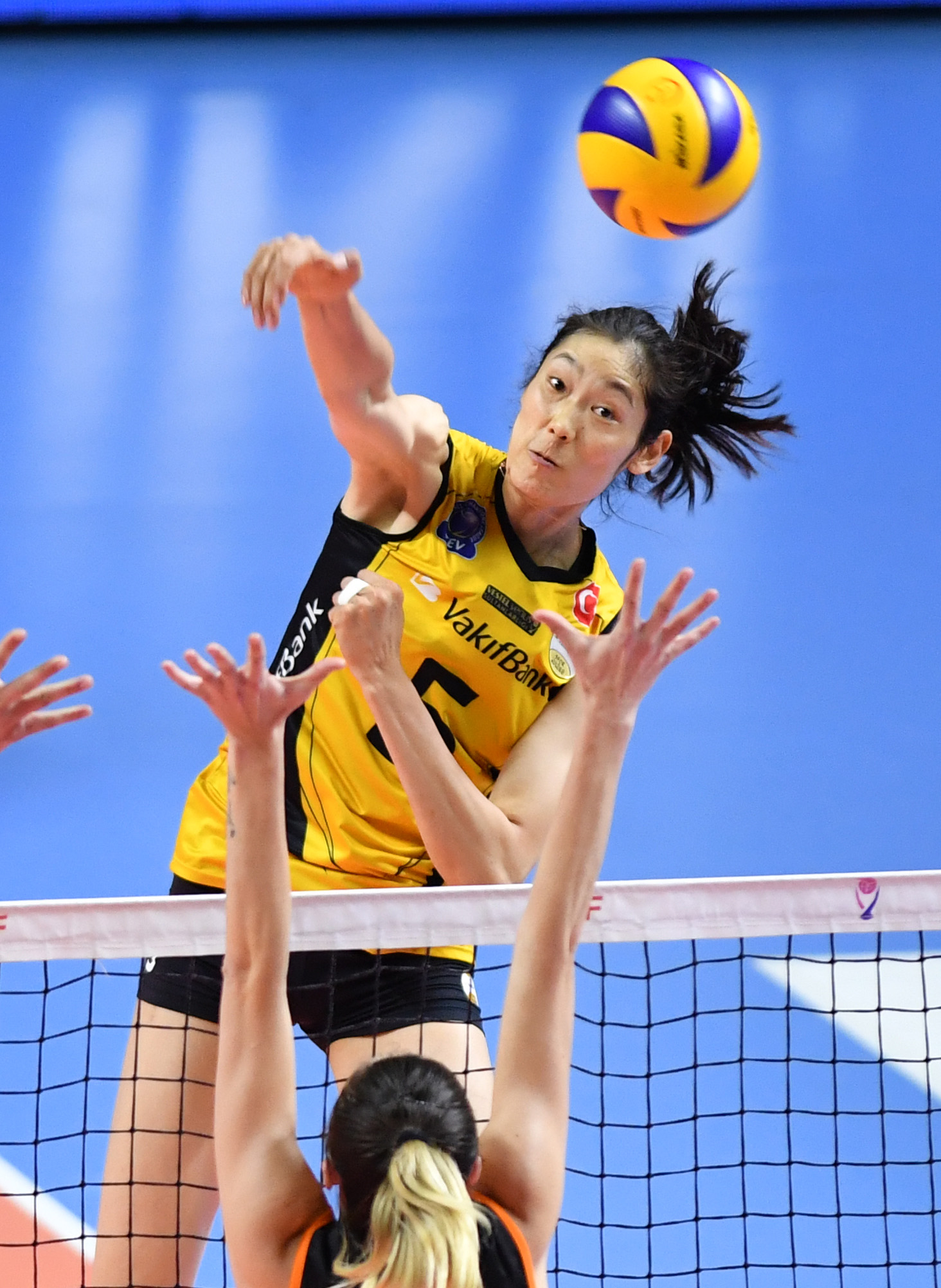 外国球迷评价朱婷复出,为什么朱婷赛场上的怒吼引非议