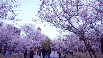 你不知道的中国内蒙古,你还不知道的内蒙古