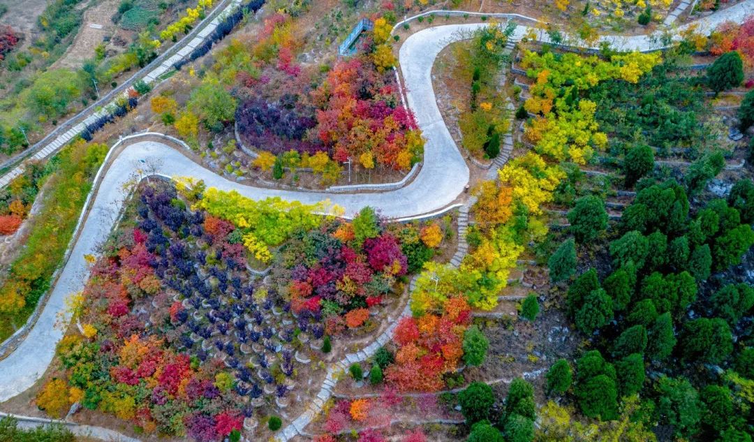 济南小众但是值得一去的地方,济南小众打卡圣地冬季