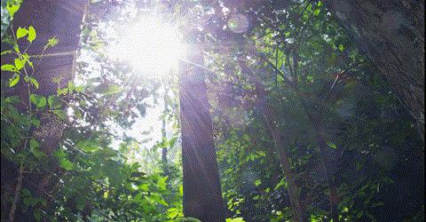 景洪夜景最好的地方,景洪边境是在什么地方