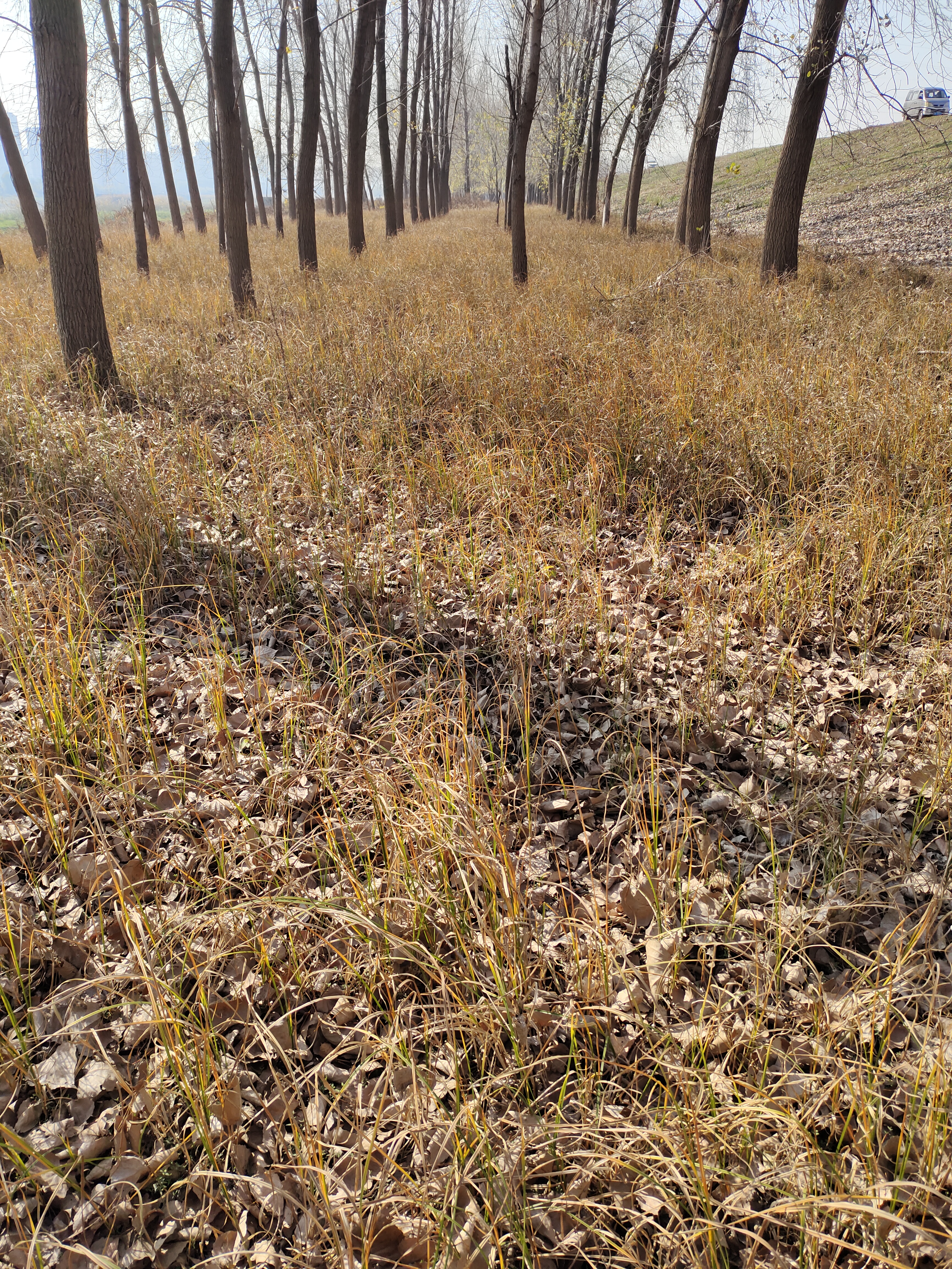 这个周末你过得怎样英文翻译,周末的你过得怎么样