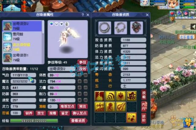 梦幻西游：69罕见力普陀，一点力量不加1525伤害，擂台单挑无敌