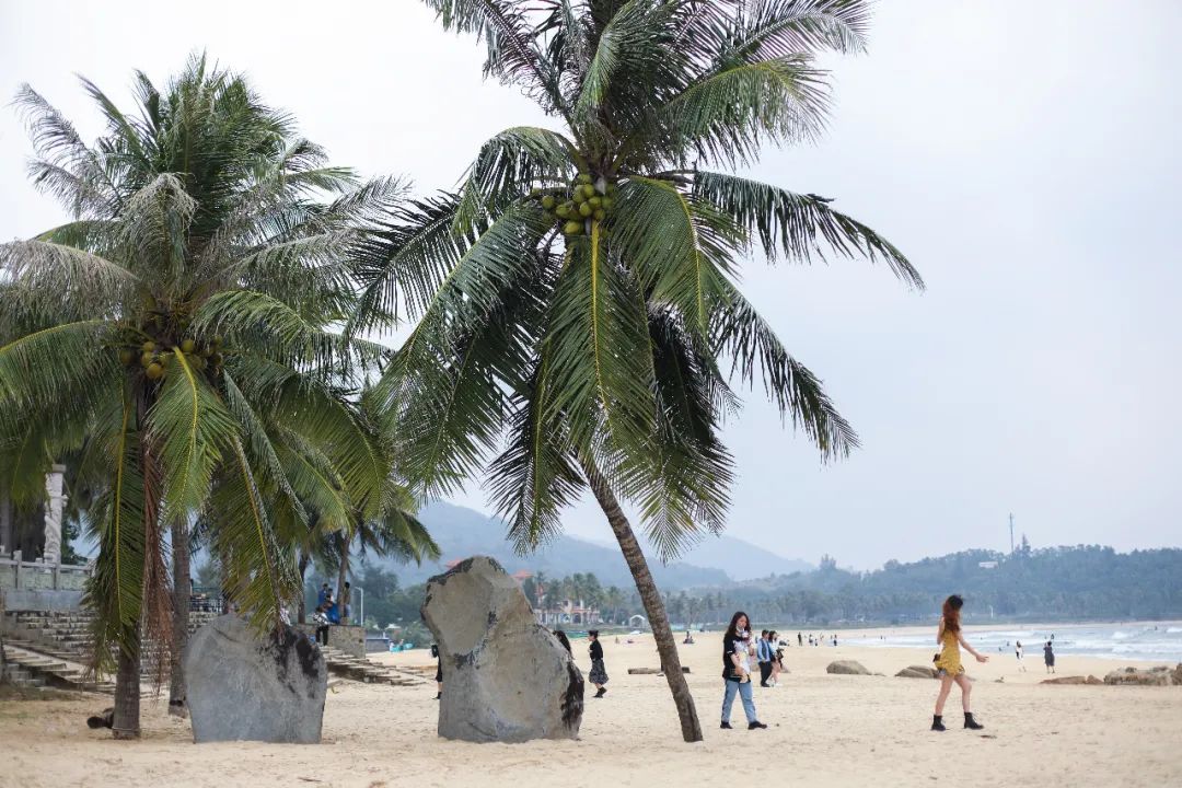 海南万宁度假旅游,海南万宁旅游度假