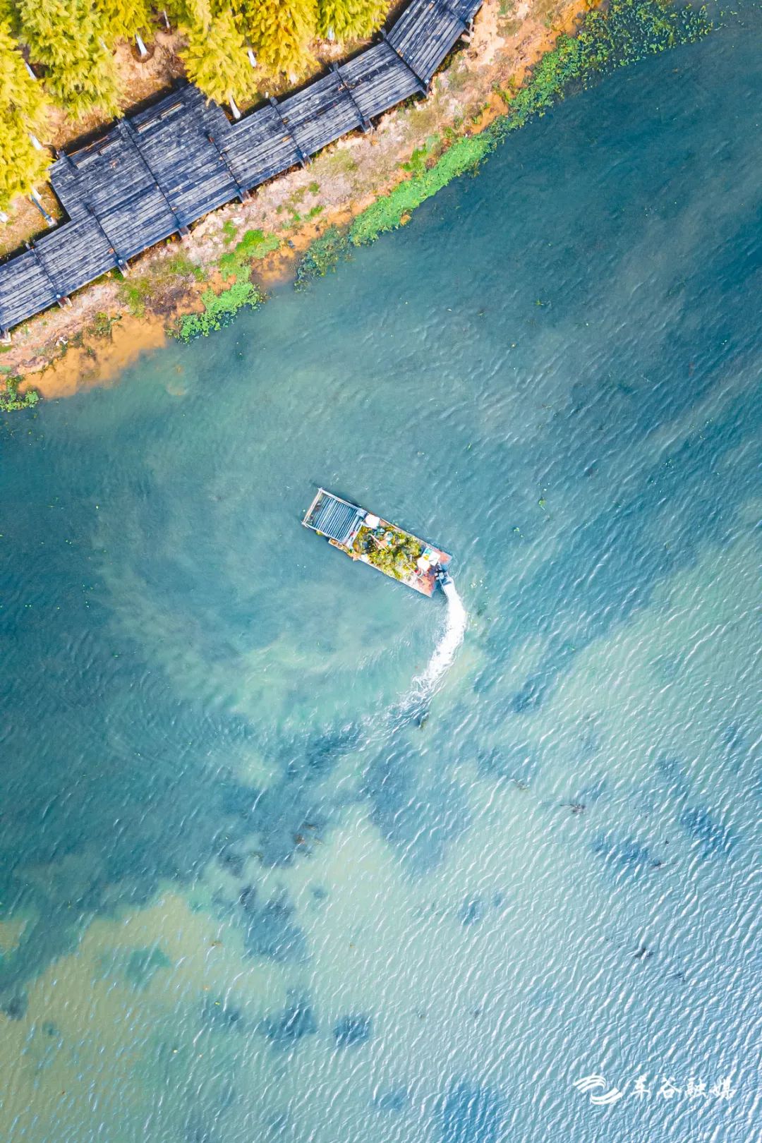 最美绿道骑行攻略,淘金山骑行绿道和东湖骑行绿道