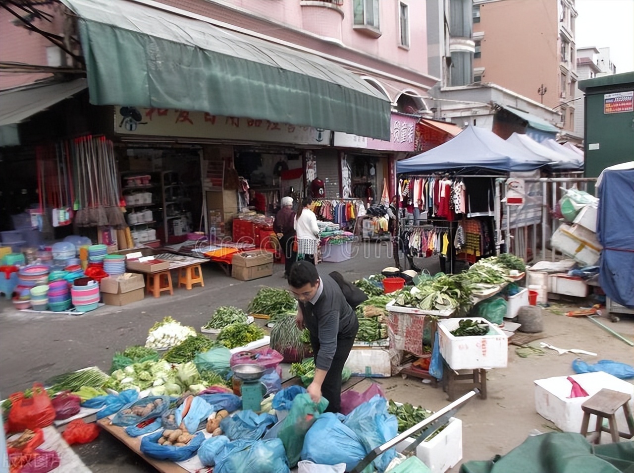 基本不打农药的7种蔬菜有哪些,不打农药或少打农药的蔬菜有哪些