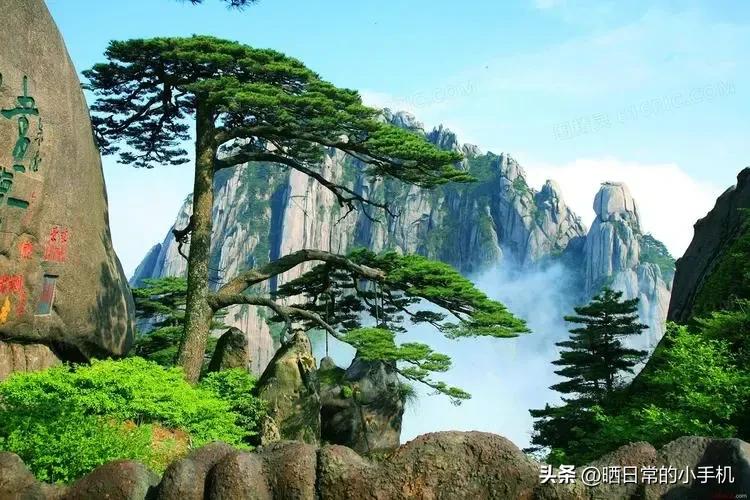 市常委办公室主任都管些什么,市委常委有分管领域吗