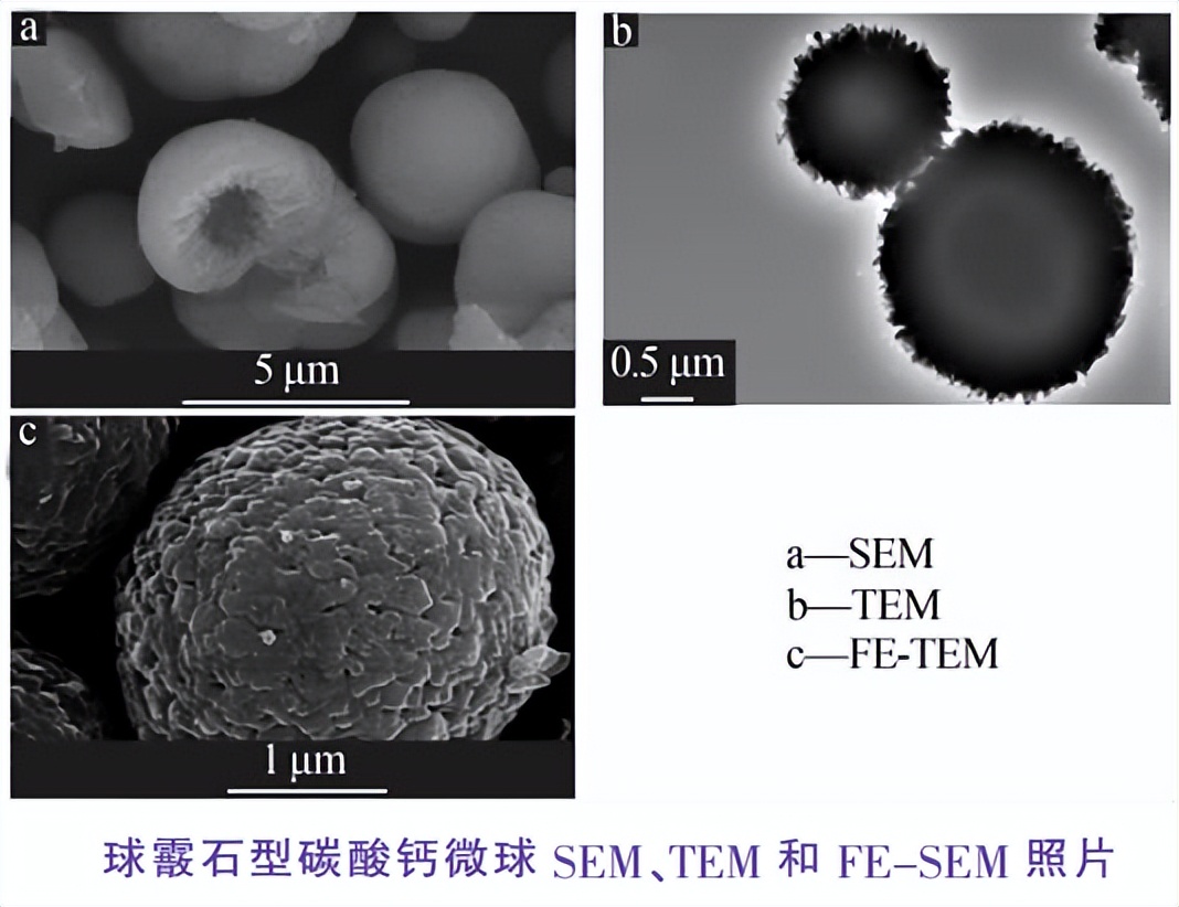 同是碳酸钙，球霰石型有什么独特之处？