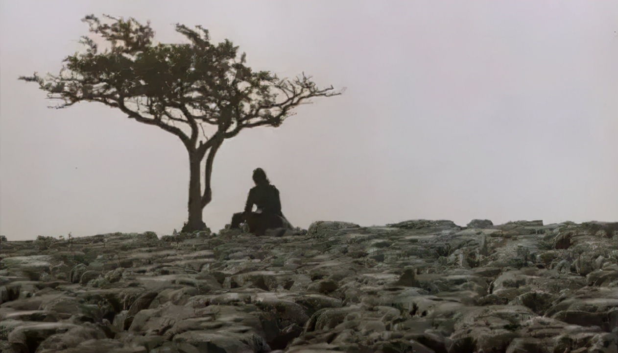 呼啸山庄难看,呼啸山庄经典句子及感悟