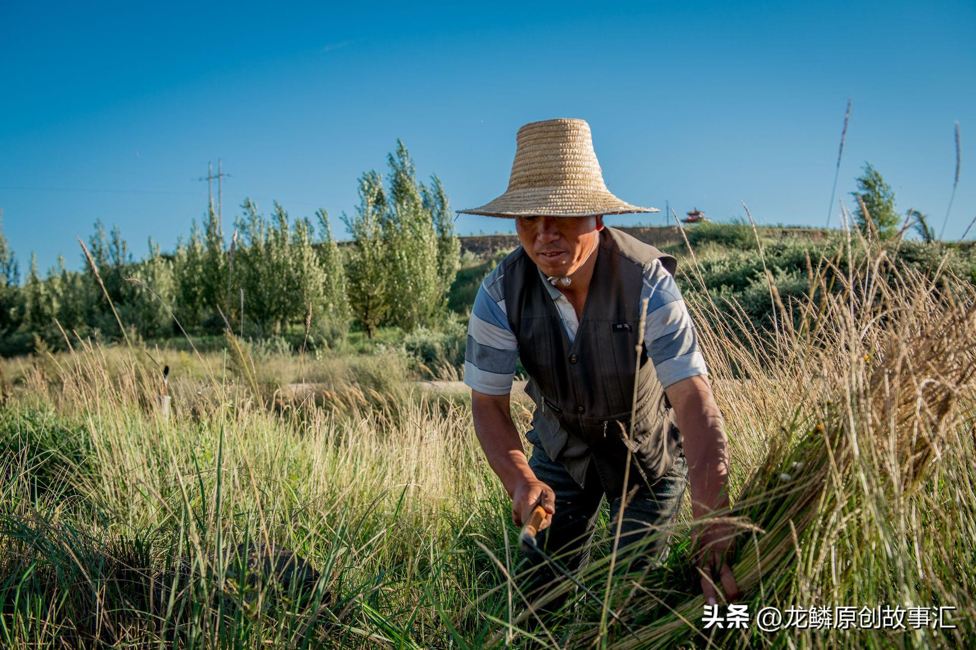 80岁老母瘫痪在床儿子要出去工作,老人瘫痪在床母亲以泪洗面