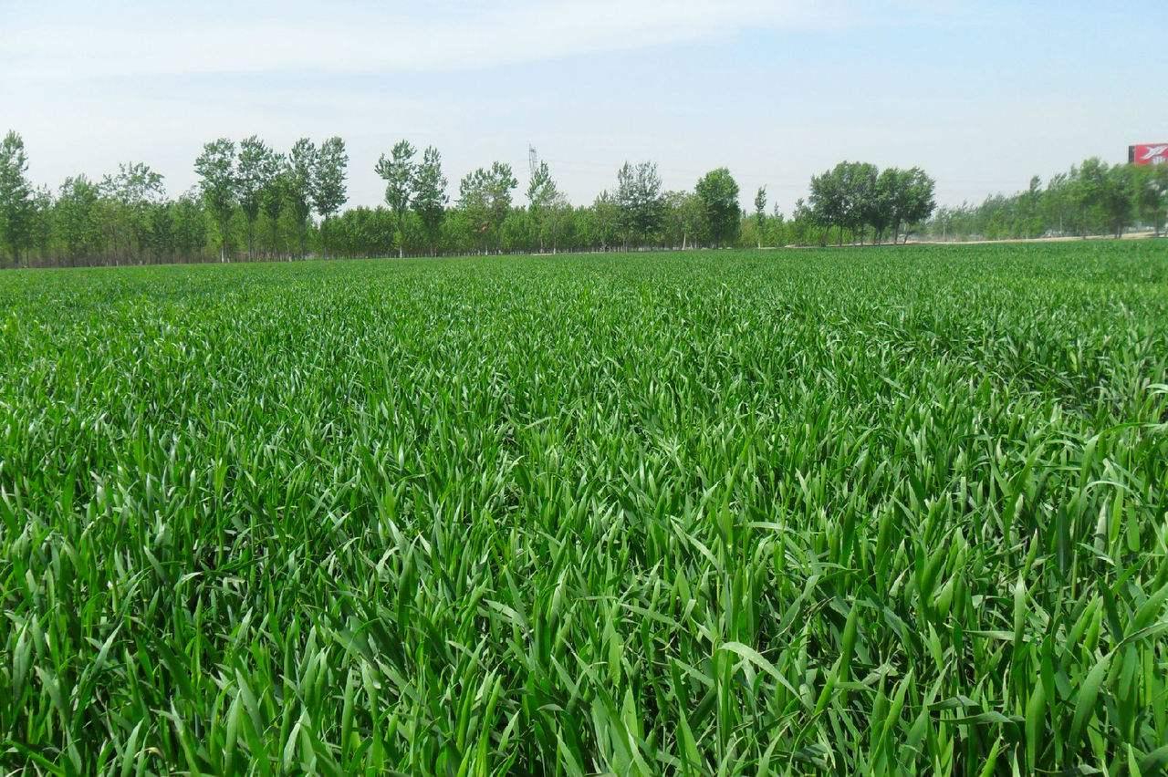 农业生态补偿意义,生态补偿促进农业产业化