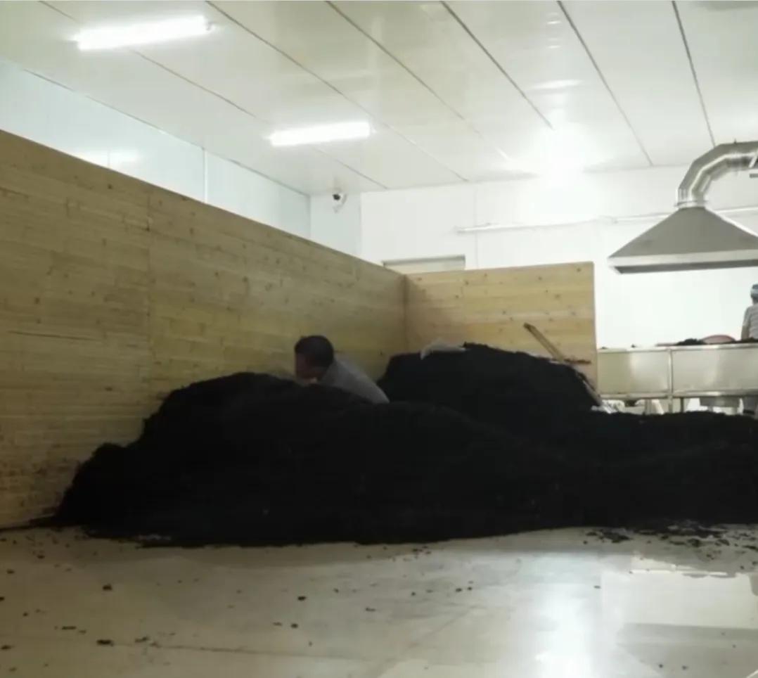 湖南男子钻进深山，将杜仲树叶变成宝，一年卖出上百万元