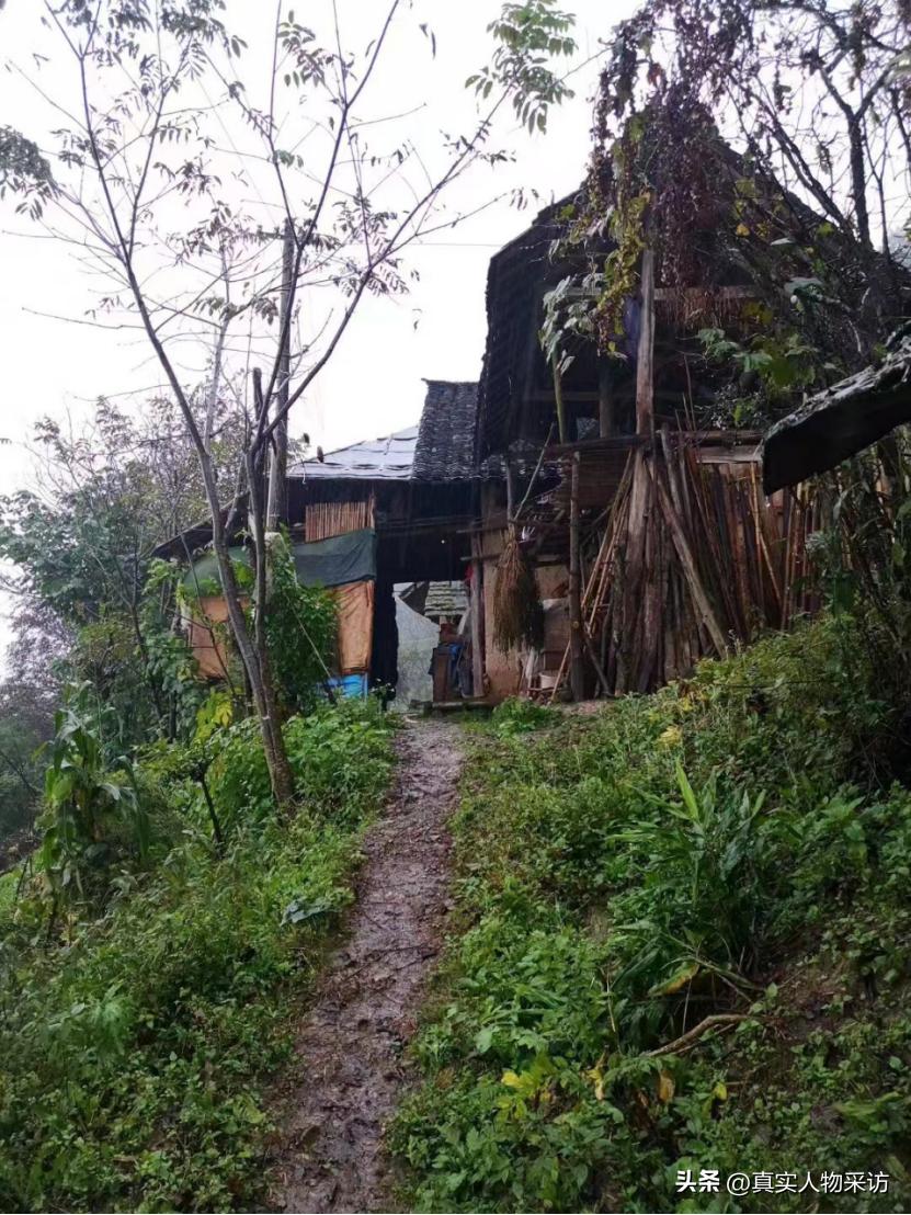 我，湖北人，泰国打拼4年，娶妻生子，买下50亩地，年入700万泰铢