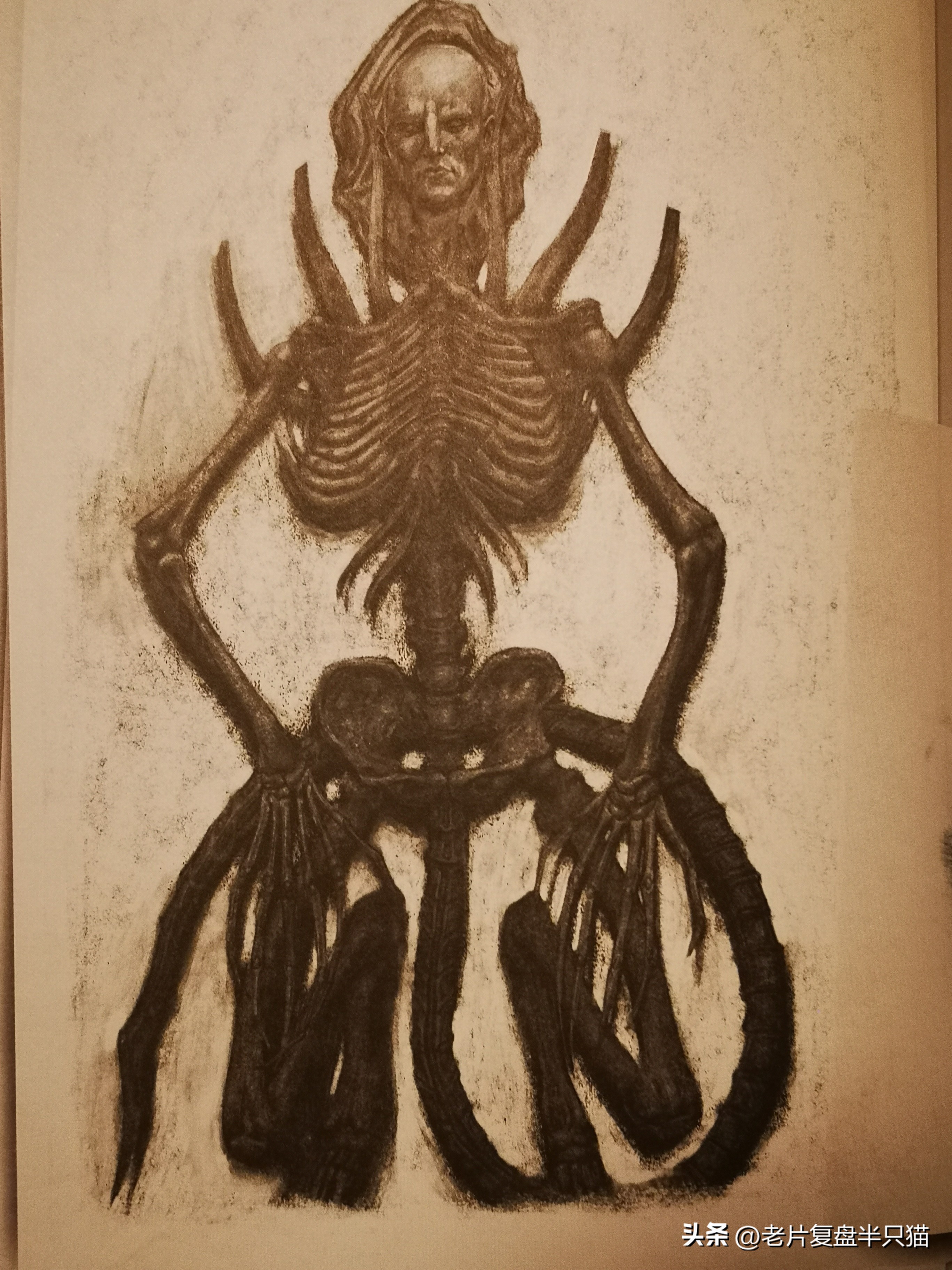 仿生人大卫的秘密,仿生机器人大卫