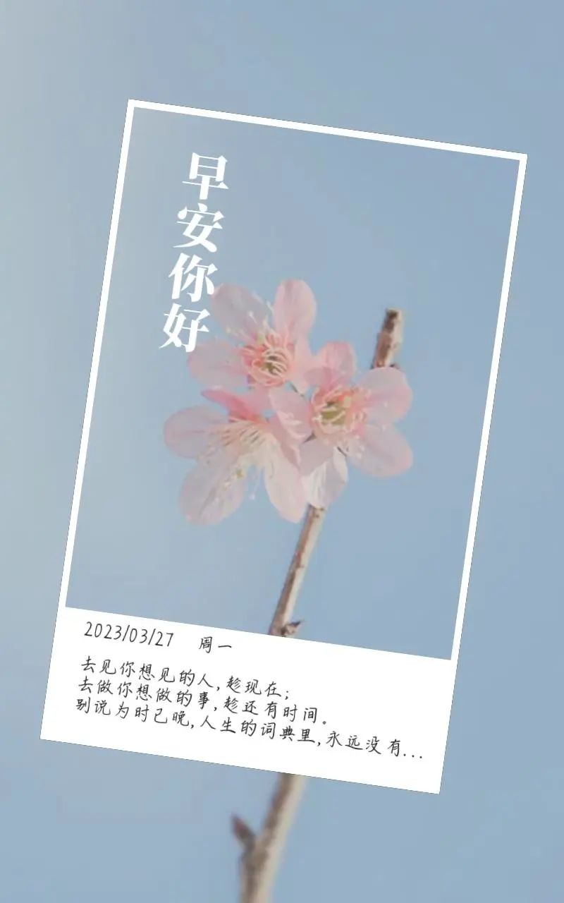 早安心语每日经典图片,早安心语短句2020早安图