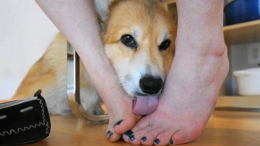 真诚没用偏爱也没用,真诚没用要互相喜欢才有用