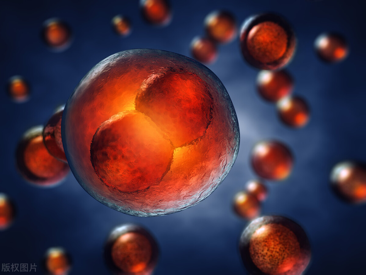 阿莫西林和其他消炎药区别,阿莫西林和其他消炎药区别是什么