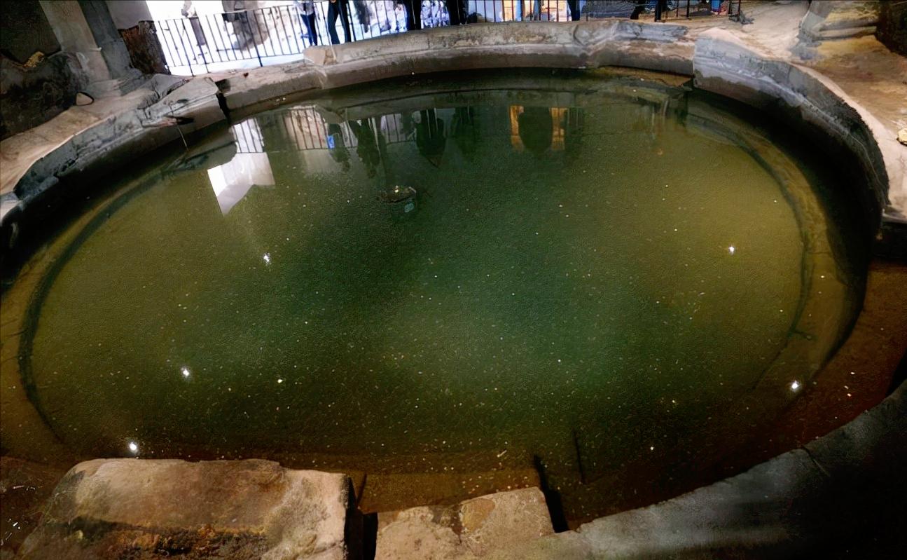 家里进了壁虎可以不理吗,家有壁虎需要留住吗