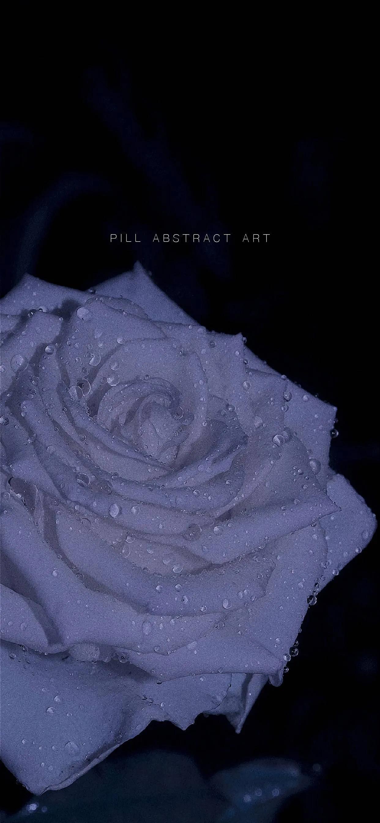 暗黑壁纸女生霸气,壁纸暗黑高级质感