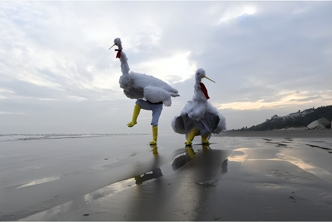 珠海非遗三灶鹤舞,三灶鹤舞是非物质文化遗产吗