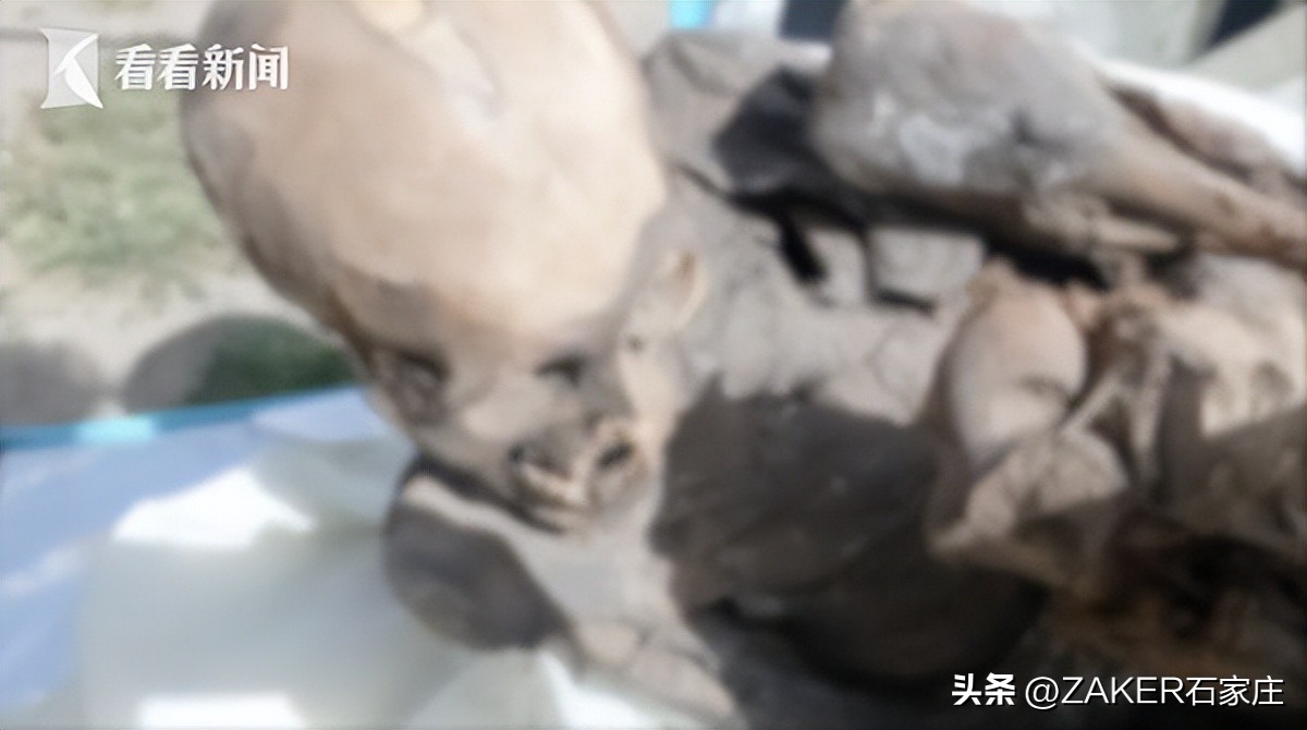 早新闻3.3|石家庄市劳动监察举报热线变更；这类考试将于3月4日至3月7日举行；这场招聘会就业岗位5万余个