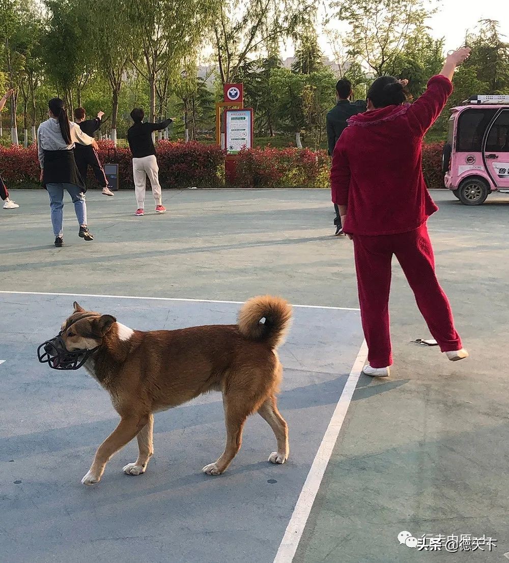 关于照相机的科普,关于照相机的动画