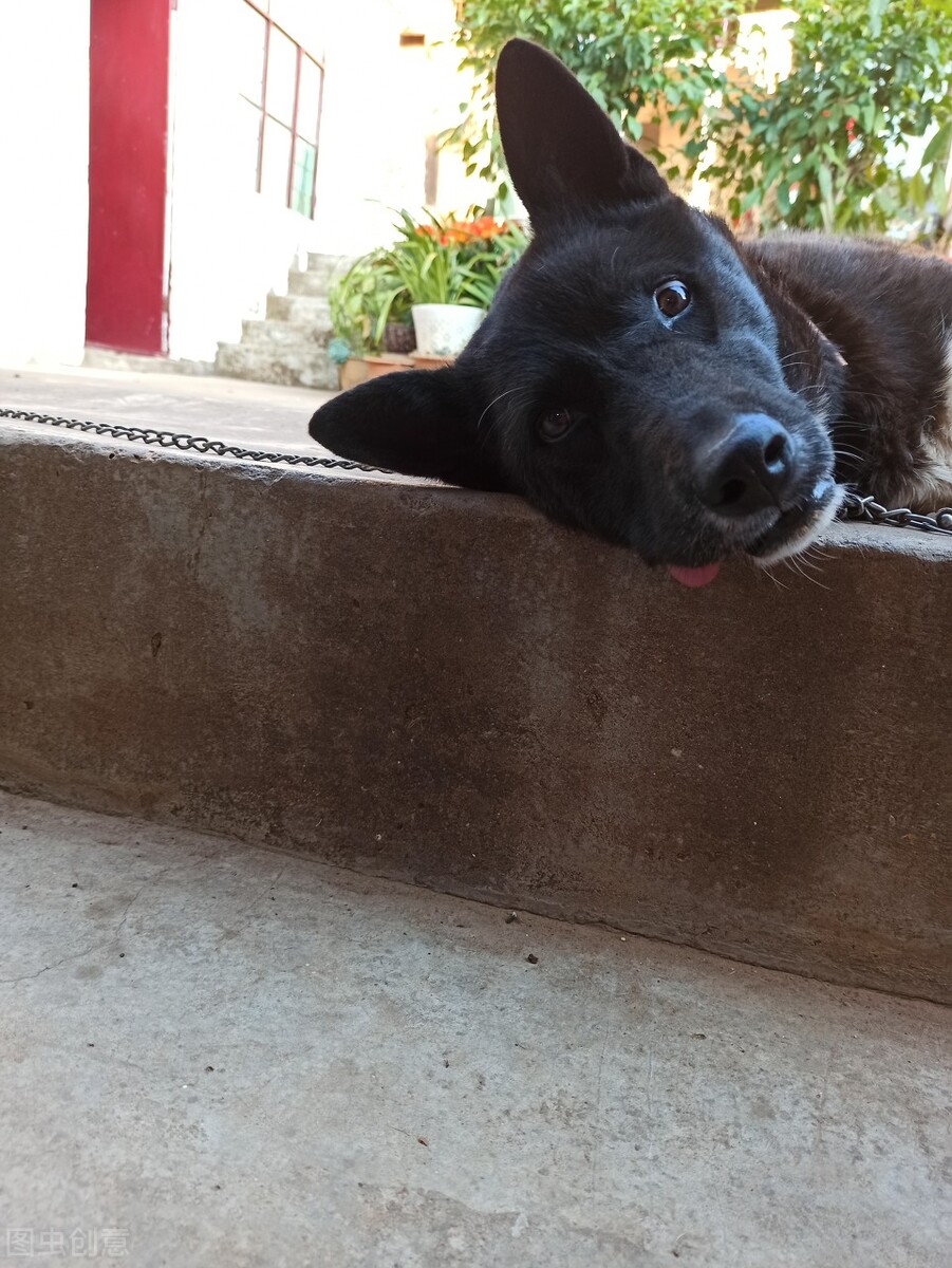 小散文,散文专题二