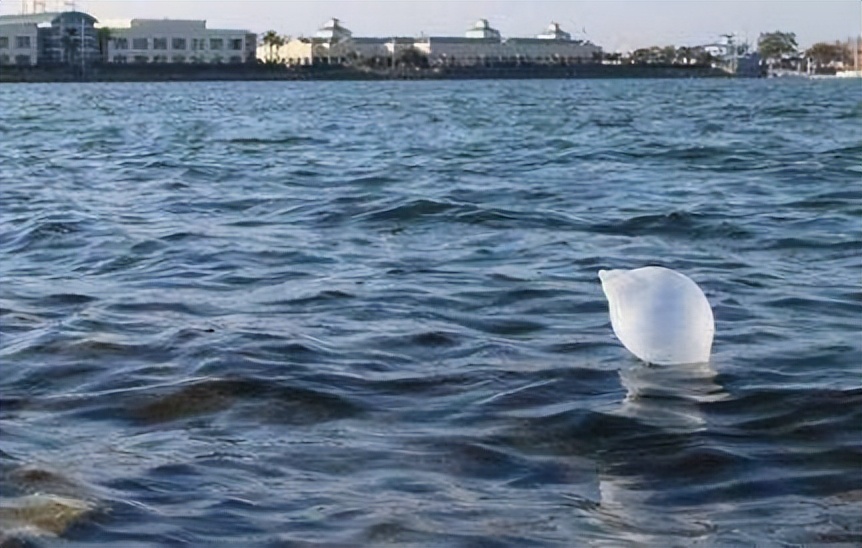 给孩子起名万涂,宝宝取名万涂思瑞被调侃