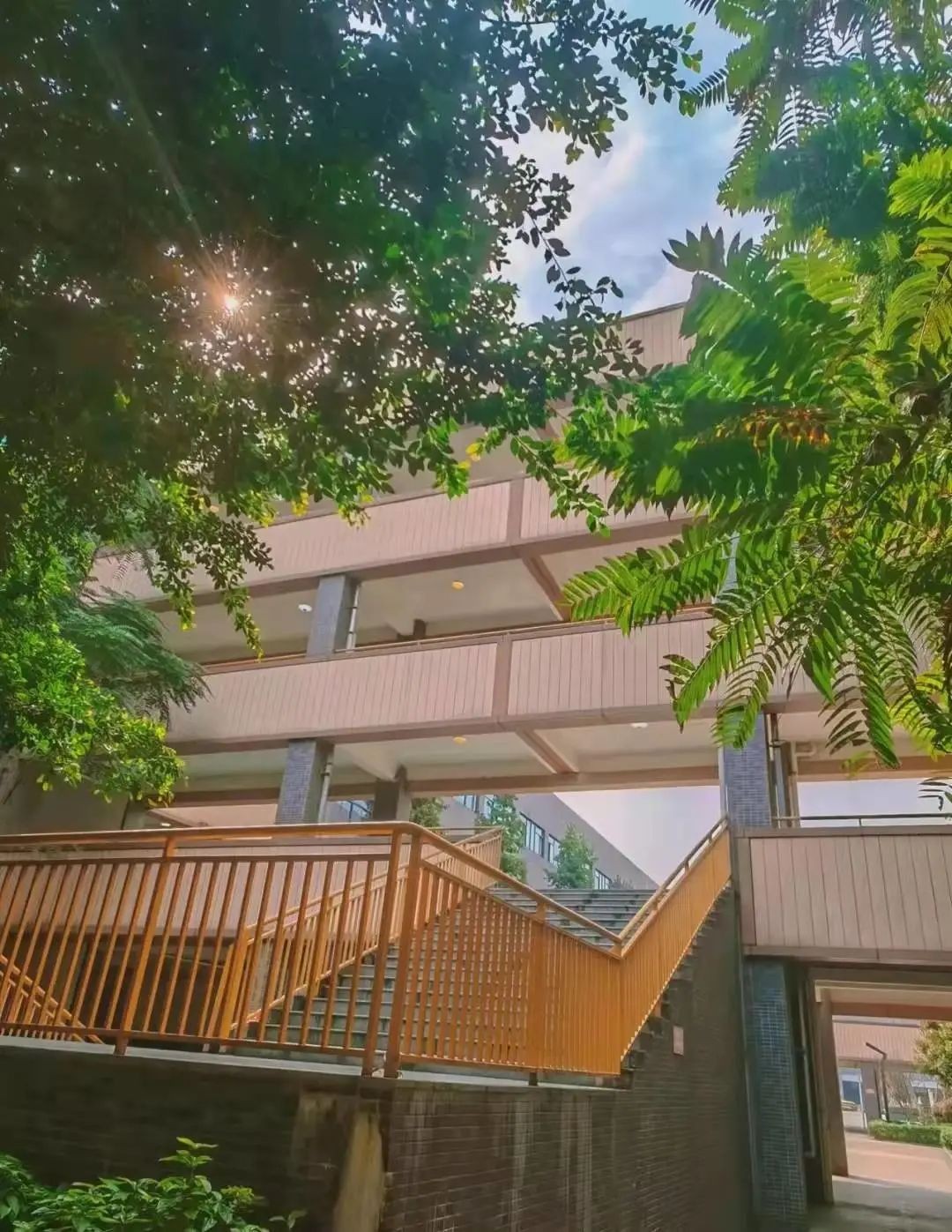 成都市实验外国语学校高中校区,成都市实验外国语学校录取分数线