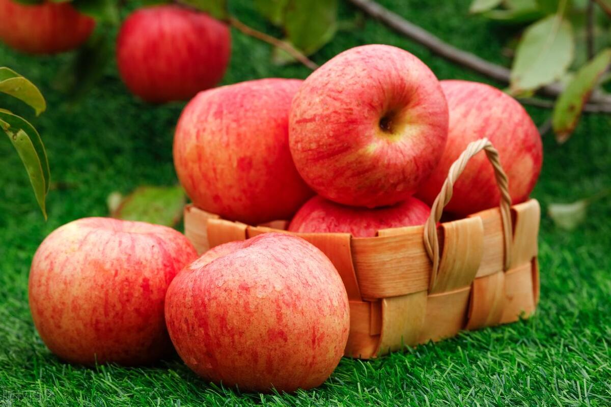 灰色的记忆小说,灰色的记忆徘徊在街头