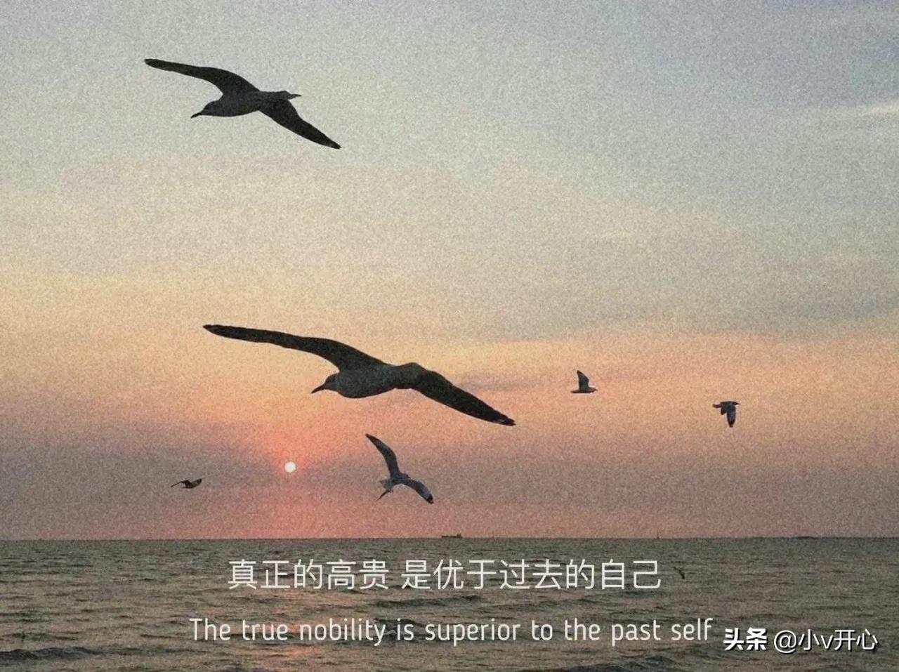 珠宝朋友圈文案高级感正能量优雅,祝福自己生日快乐朋友圈高级文案