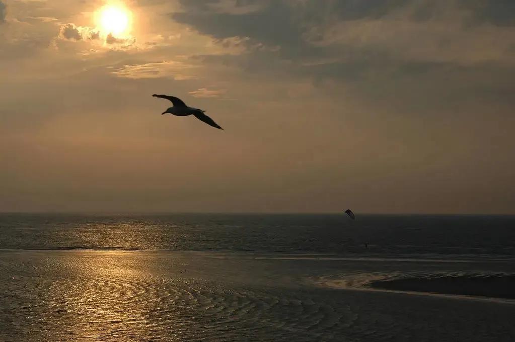 「NO.1115长河诗刊」诗酒人生真乐事，砚田已惯细精锄