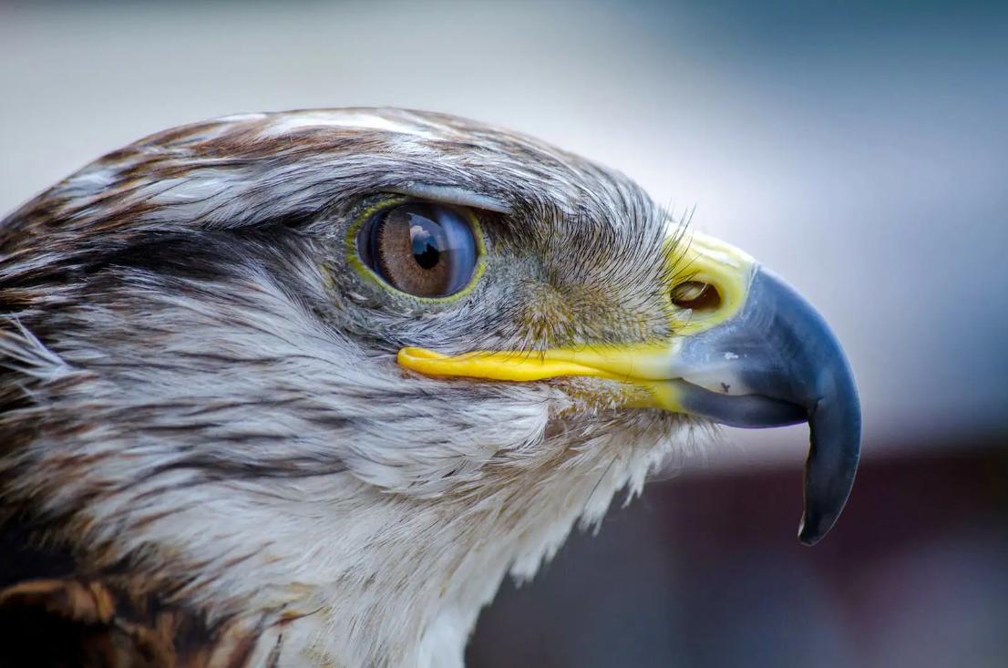 分享一波绝美照片,分享一波美照