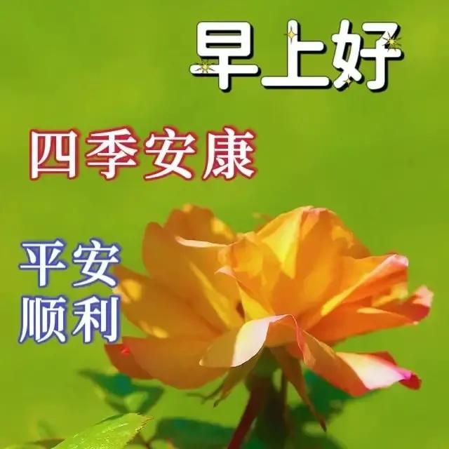 2023年02月27日星期一农历:癸卯年【兔年】二月初八八九第5天